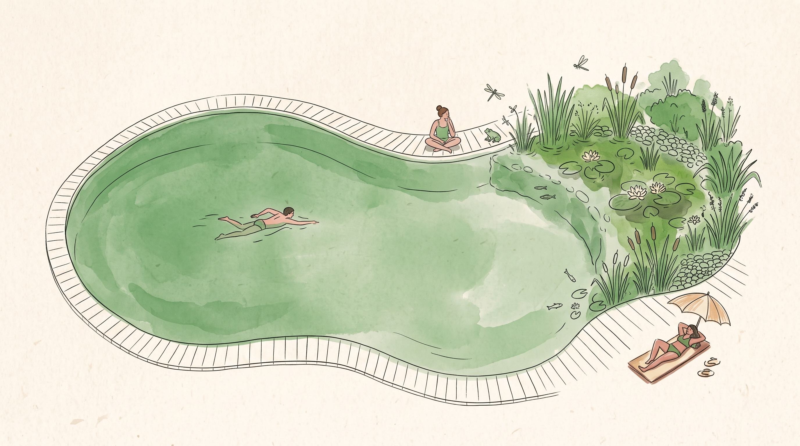 Bio-organic pool illustration
